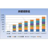 无棣如何防止SEO关键词排名下降
